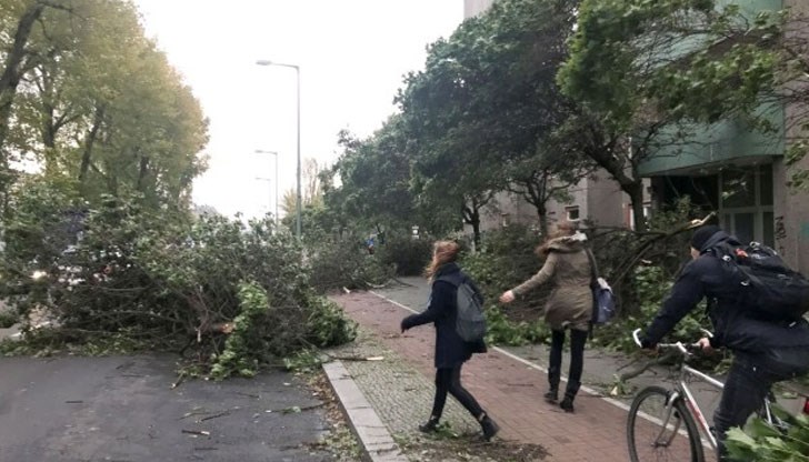 Властите обявиха извънредно положение в най-засегнатите региони Властите обявиха извънредно положение в най-засегнатите региони
