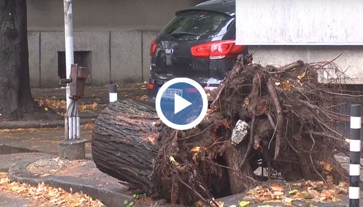 Крайно време е от Община Русе да си го приберат