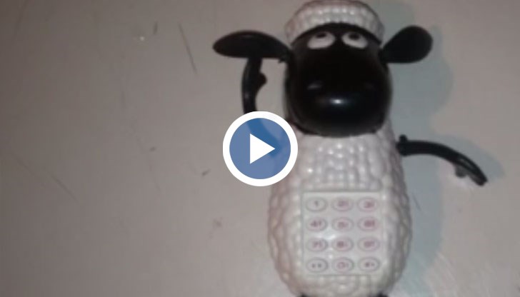 Семейство купи играчка на детето си от магазин в Търговище, но когато я включи, тя запя джихадистка песен