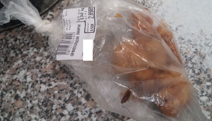 Вижте каква животинка си купих днес