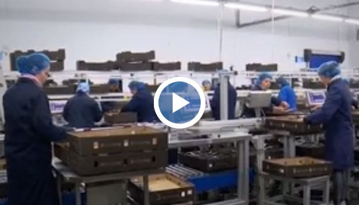 Според новите правила, сезонните работници ще трябва да вземат точно толкова пари, колкото и местните