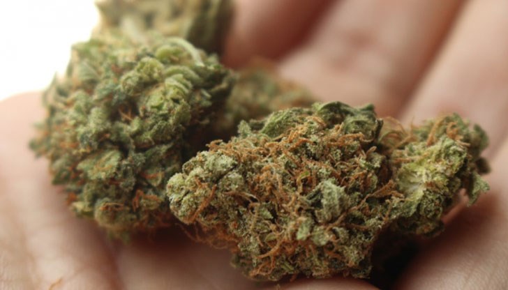 Високопоставен полицейски представител посочи, че наркотикът е бил иззет от къща във Вльора Високопоставен полицейски представител посочи, че наркотикът е бил иззет от къща във Вльора