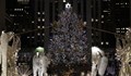 Коледната елха в Ню Йорк светна с 50 хиляди лампички