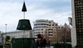 Слагат коледната елха пред Общината