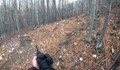 Ловец повали глиган с два изстрела, но издъхна до него