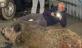 Ловци отстреляха 200-килограмов глиган