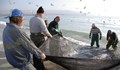 Натура 2000 оставя на сухо българския риболов