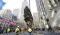 Поставиха коледното дърво в Ню Йорк