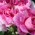 Китай не допуска внос на български хранителни продукти с роза Дамасцена