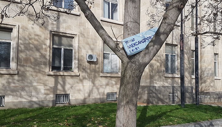 Табела на улица "Александровска" кацна на едно дърво