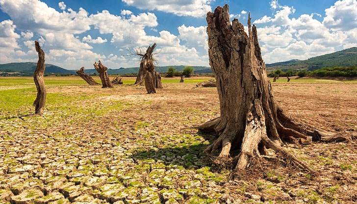 Най-голямата бежанска криза предстои и тя ще е заради климата