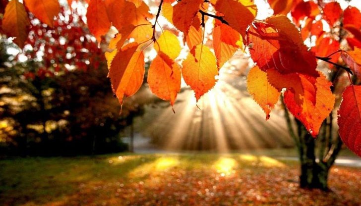 Температурите ще прескочат 15 градуса