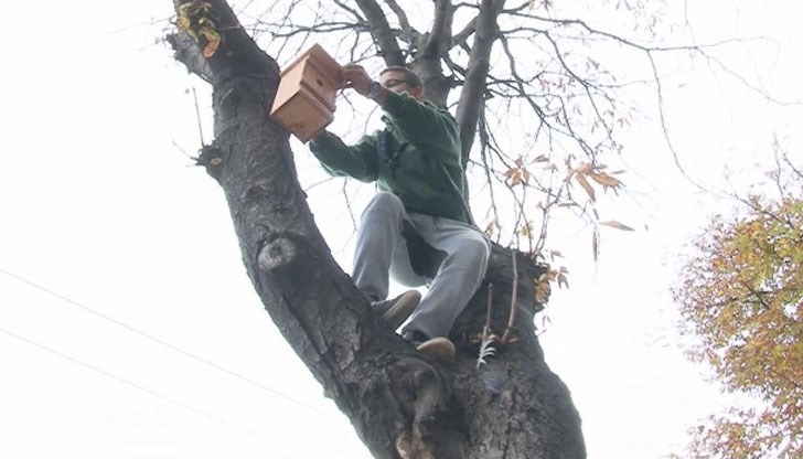 Синигери влизат в битка с опасен вредител