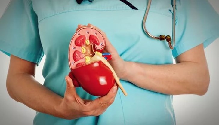 Проф. д-р Симеонов ще преглежда деца и възрастни на 02.12.2017 година в сградата на УМБАЛ "Медика"