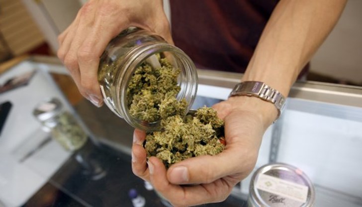 Аптеките ще продават един грам марихуана за 15 евро Аптеките ще продават един грам марихуана за 15 евро