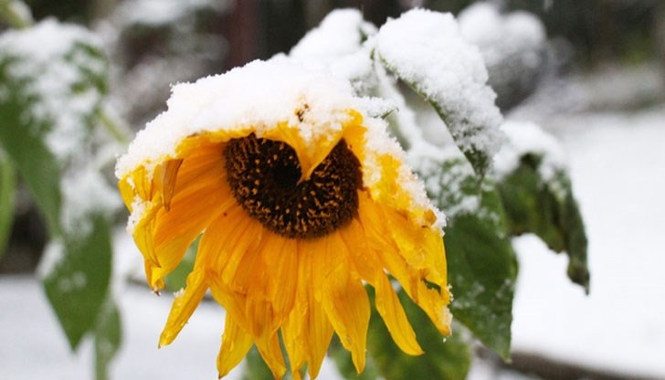 Сняг в понеделник, затопляне и дъжд в края на седмицата