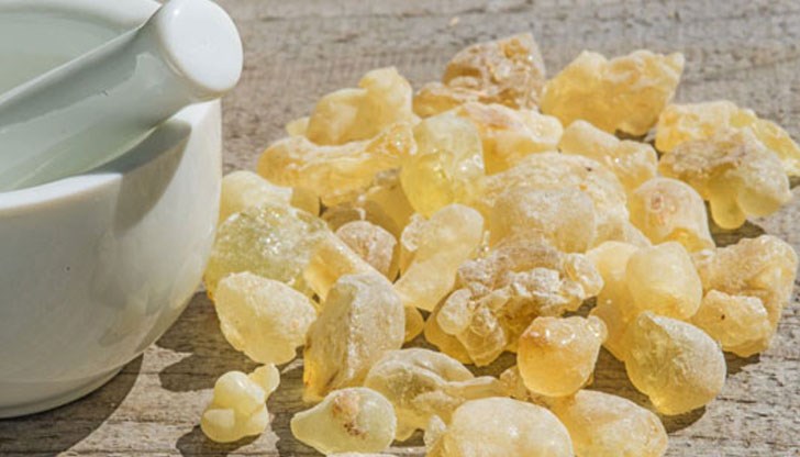 Ароматът му има успокояващо и дори опияняващо действие Ароматът му има успокояващо и дори опияняващо действие