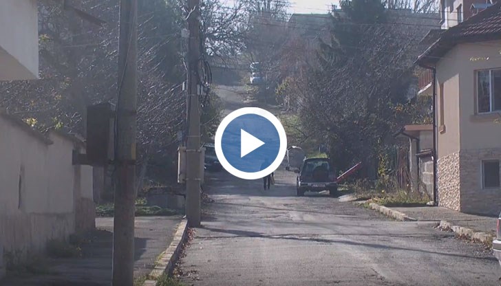 Догодина се очаква да започне изграждането на канализацията в "Средна кула" и "Долапите"