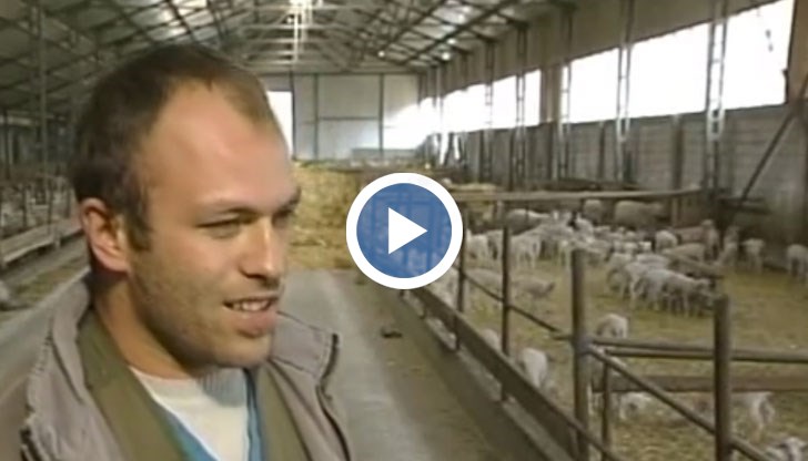 25-годишният Юсеин се грижи за 1000 овце и десетки крави в стопанство в Хаджидимово