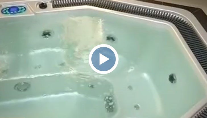 Майката и детето претърпяват стресиращата ситуация в хотел в Шкорпиловци