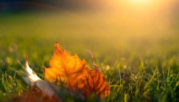 Максималните температури ще достигнат 20 градуса