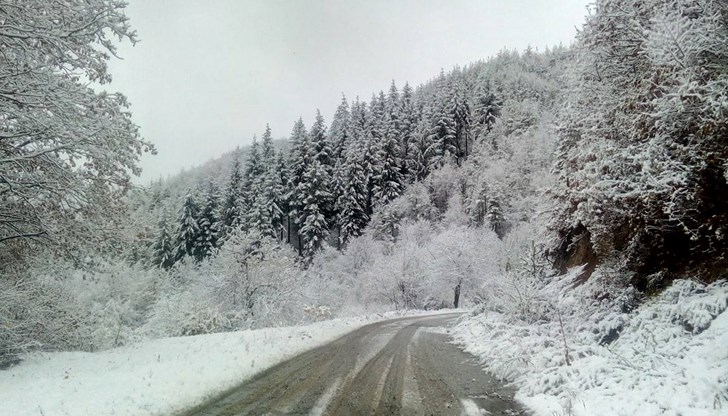 Тази сутрин планината се събуди с над 8 сантиметра сняг