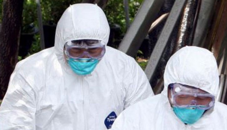 Умъртвиха 8 000 патици в село Зимница Умъртвиха 8 000 патици в село Зимница