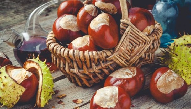 Даже и не подозираме колко полезно е това дърво Даже и не подозираме колко полезно е това дърво