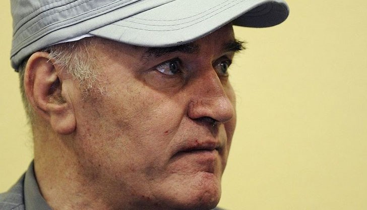 Той е признат за виновен по 10 от 11 обвинения за военни престъпления и геноцид Той е признат за виновен по 10 от 11 обвинения за военни престъпления и геноцид