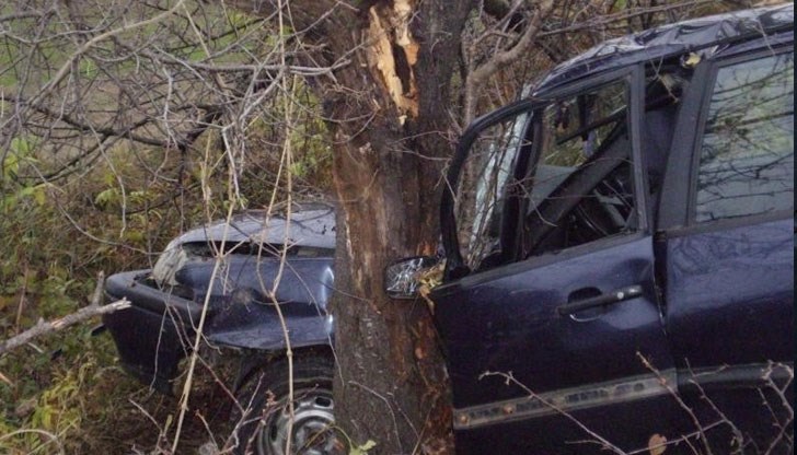 Възрастният шофьор отнесе ограда и се удари в дърво / Снимката е илюстративна