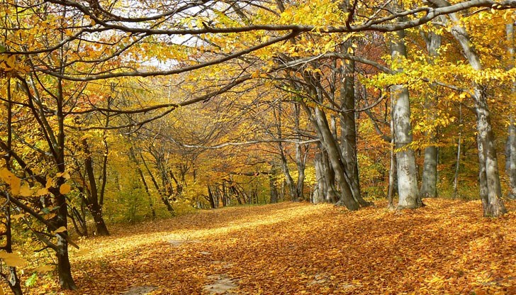 Валежи се очакват в сряда