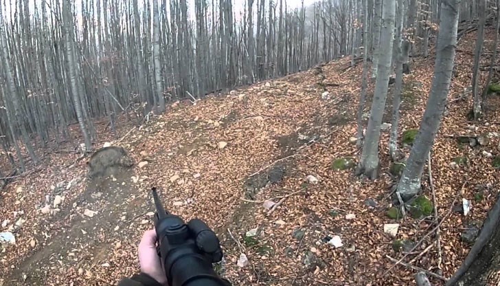 72-годишният Анастас е открит мъртъв близо до поваления глиган / Снимката е илюстративна