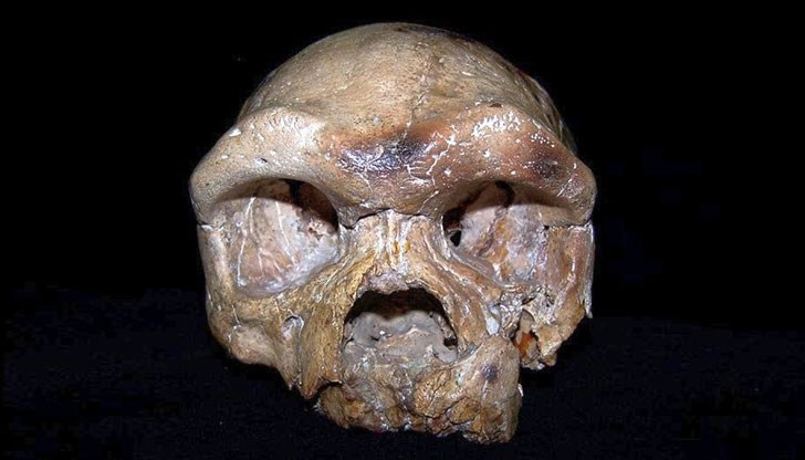 Може да се наложи преосмисляне на произхода на нашия вид.