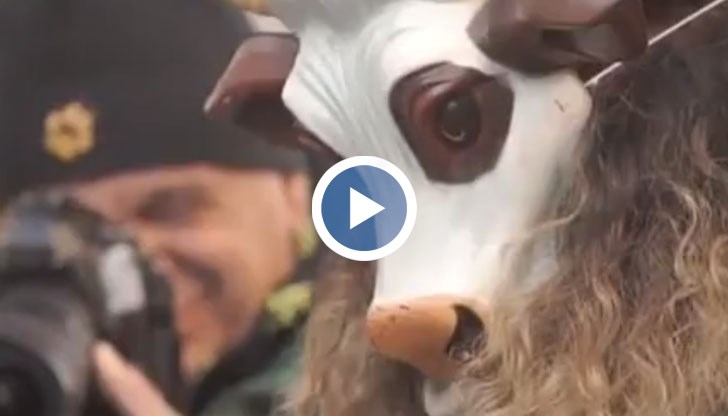 Защо веганите у нас се скараха?