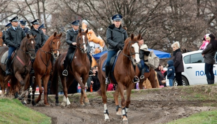 Животните вече са остарели и не отговарят на условията на вътрешното министерство Животните вече са остарели и не отговарят на условията на вътрешното министерство