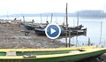 Нашествие на корморани унищожава рибата в Дунава