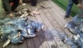 Полицаи сгащиха бракониери с 200 килограма риба