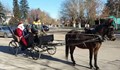 Дядо Коледа пристигна в Кнежа с файтон