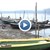 Нашествие на корморани унищожава рибата в Дунава