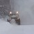 500 снегорина чистят пътищата на страната