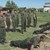 Етнолог: У нас трябва да има поне едномесечно военно-гражданско обучение
