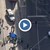 Автомобил се вряза в пешеходци в Мелбърн