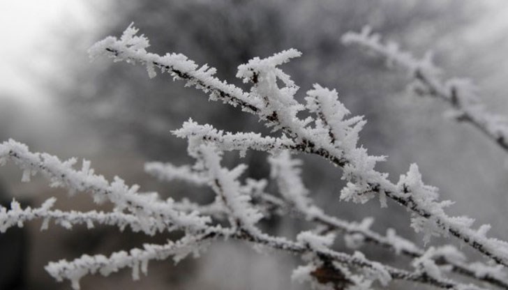 В Източна България ще духа умерен северен вятър В Източна България ще духа умерен северен вятър