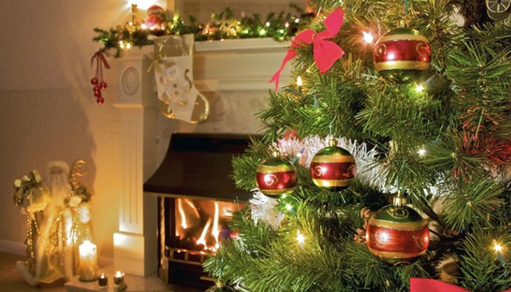 Отрязани клонки от елха могат да предпазят саксиите ви с цветя от измръзване Отрязани клонки от елха могат да предпазят саксиите ви с цветя от измръзване