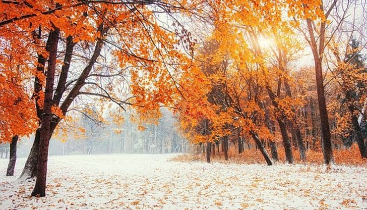 Температурите около Коледа може достигнат до 15 градуса Температурите около Коледа може достигнат до 15 градуса