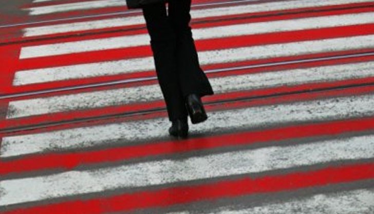 Според Сотир Цацаров пътеките трябва да са бели, без никакви символи и надписи