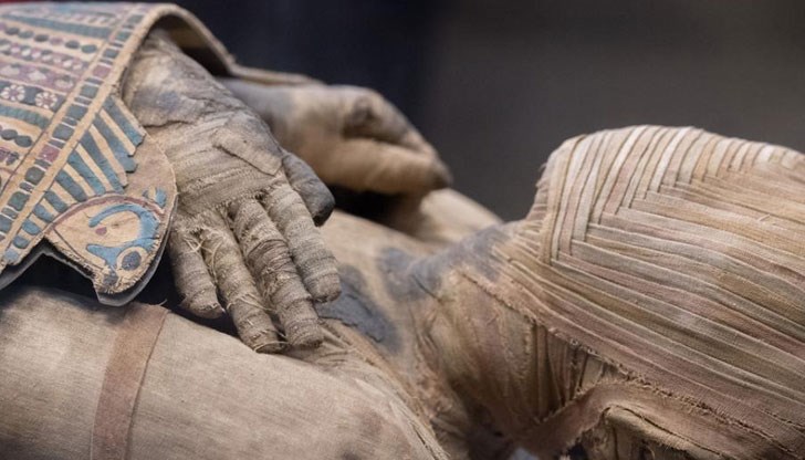Древните египтяни не са знаели за съществуването на смъртоносното заболяване и не умеели да го лекуват / Снимката е илюстративна