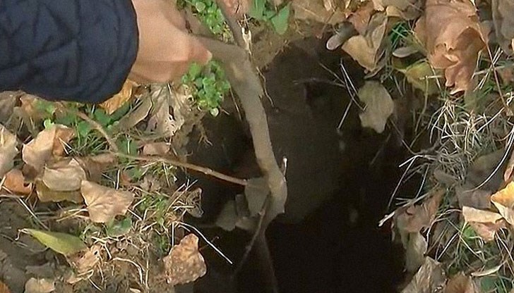 След няколко подадени сигнала "Комунални дейности" се размърдаха