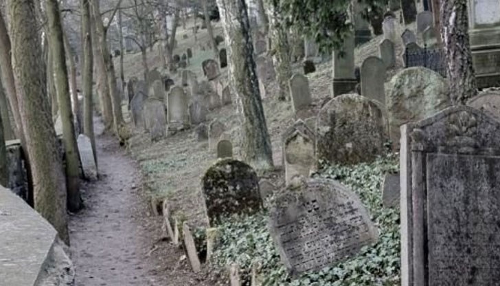 Извършителят е криминално проявен и е задържат за 24 часа / Снимката е илюстративна/ Извършителят е криминално проявен и е задържат за 24 часа / Снимката е илюстративна/