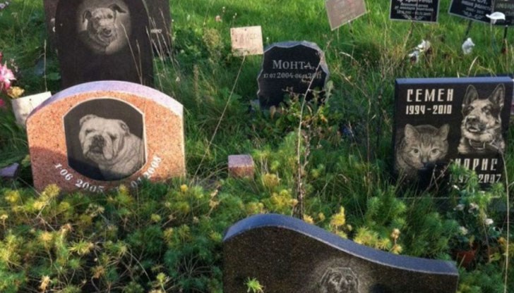 Има начин да си спестим гледката на разлагащ се труп на нечий умрял любимец, изхвърлен в контейнера Има начин да си спестим гледката на разлагащ се труп на нечий умрял любимец, изхвърлен в контейнера